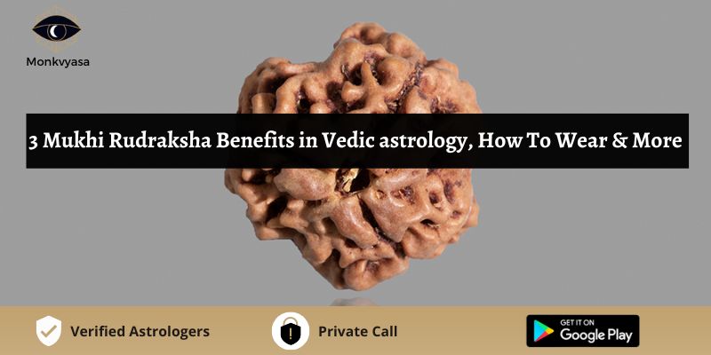 https://www.monkvyasa.com/public/assets/monk-vyasa/img/3 Mukhi Rudraksha Benefits in Vedic astrology.jpg